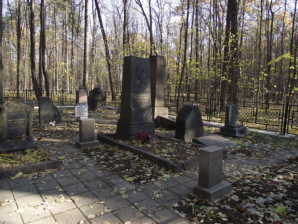 Тимирязевское кладбище 